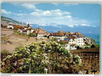 1071 Rivaz - Genfersee - 39701586