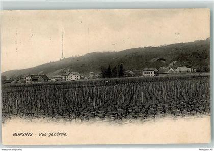 1183 Bursins 1913 - Weinberge - 13905439