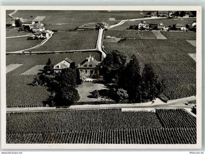 1185 Mont-sur-Rolle - Montbenay Weinberge - 13232551