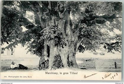 1261 Marchissy 1903 - Grosser Tilleul - 39495353