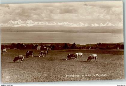 1428 Provence - Neuenburgersee Kuhherde - 10611510