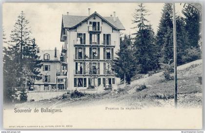 50894555 - Ballaigues