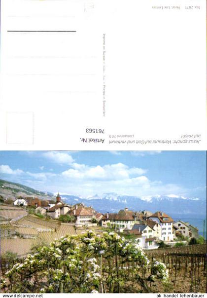761563 Rivaz District de Lavaux-Oron Switzerland