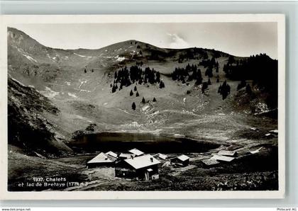 Bretaye - Chalets et lac de Bretaye - 11063860