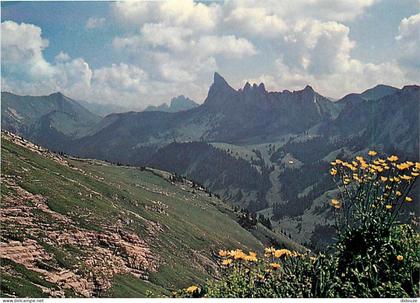 Carte Postale - Suisse - VD Vaud - La Pierreuse - CPM - Carte Neuve - Voir Scans Recto-Verso - Poscard - Carta Postal -