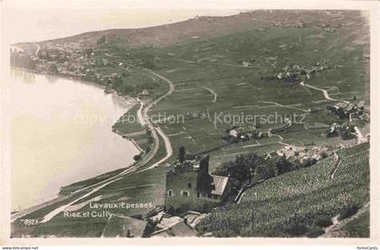 Lavaux  VD Riez et Cully vue aerienne