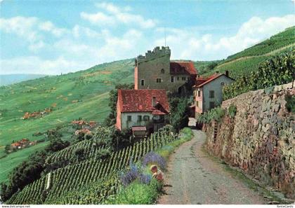 Marsens (La Tour de) Cully VD Panorama