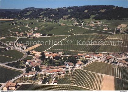 Mont-sur-Rolle