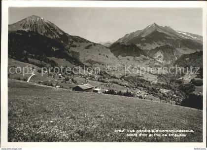 Ormont-Dessous Vue generale