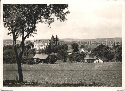 Oron-la-Ville Vue generale et le Chateau