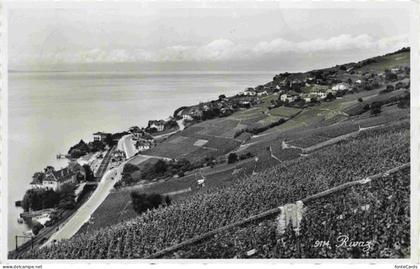 Rivaz Lavaux VD Panorama