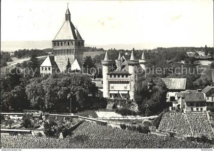Vufflens-le-Chateau Panorama