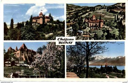 Chateau Blonay