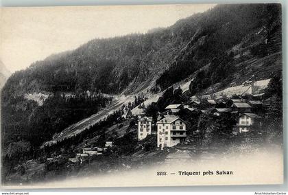 13174885 - Salvan