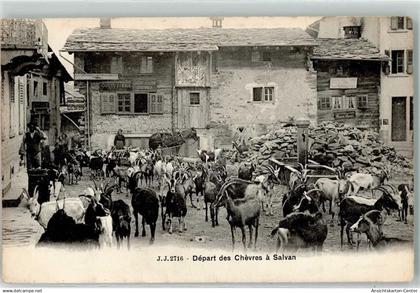 13197994 - Salvan