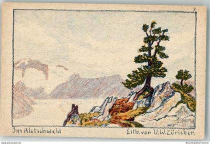 13985672 - Riederalp