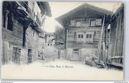 50698330 - Salvan