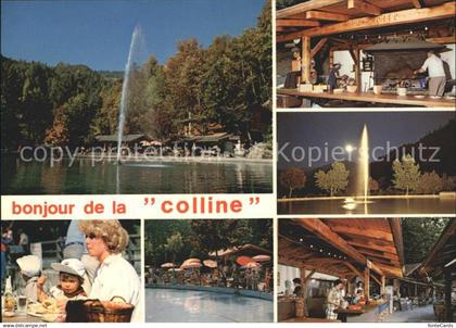 Chamoson La Colline aux Oiseaux Restaurant Fontaine Details