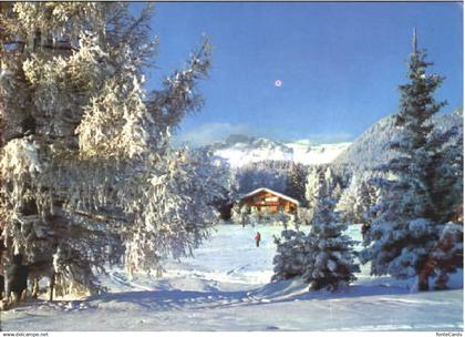 Crans-Montana  x 1973
