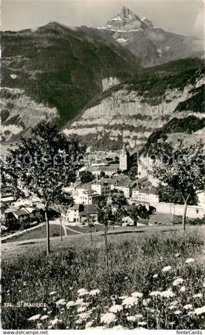 St Maurice  Valais VS Panorama
