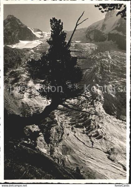 Trient Martigny Glacier du Trient