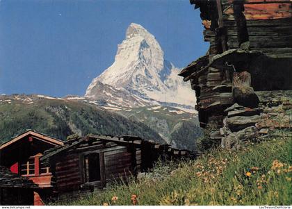 SUISSE - Matterhorn - Glacier - Montagne - Cabane - Village - Bois - Paysage - Carte postale