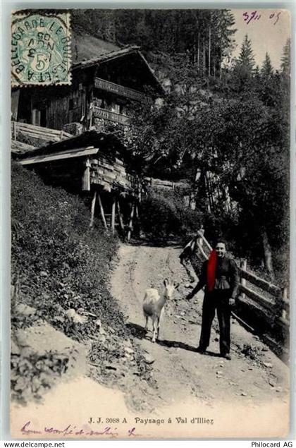 1873 Val-dIlliez 1905 - Bauernfrau mit Ziege - 10611390