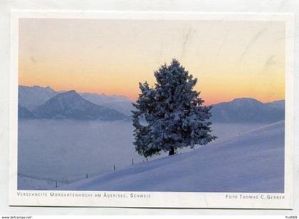 AK 029060 SWITZERLAND - Verschneite Morgartenhöchi am Ägerisee