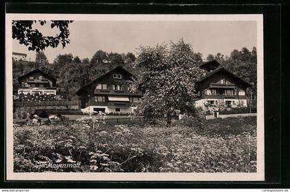AK Oberägeri, Maienmatt im Frühling