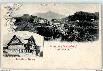 8499 Sternenberg 1910 - Gasthaus zum Sternen Hörnli - 51715389