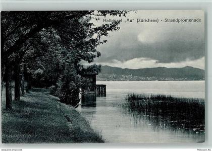 8804 Au ZH 1919 - Halbinsel Au Zürichsee Strandpromenade - 10257265