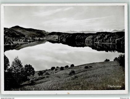 8915 Hausen am Albis - Naturstrandbad Türlersee - 11087518