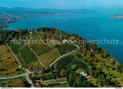 Au ZH Landgasthof Halbinsel Au Zuerichsee Fliegeraufnahme