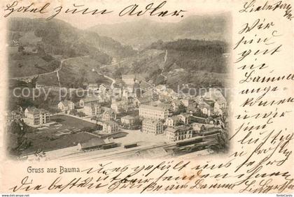 Bauma ZH Panorama