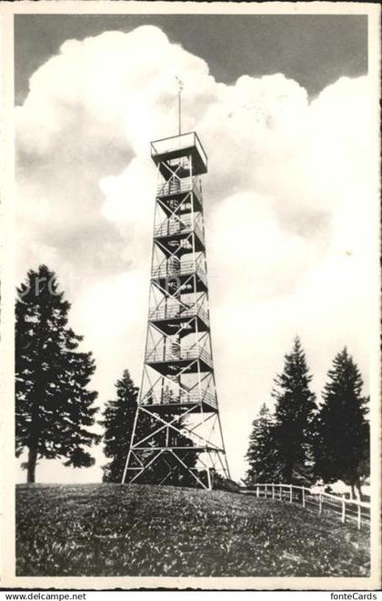 Hinwil Bachtel-Kulm Aussichtsturm