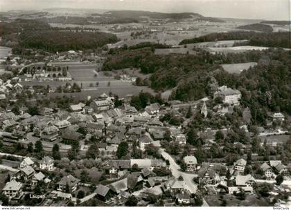 Laupen ZH Fliegeraufnahme