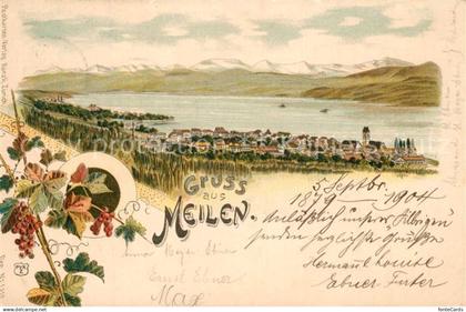 Meilen Panorama