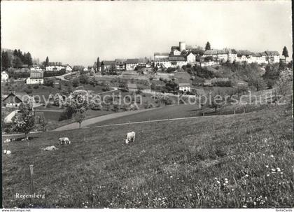 Regensberg Dielsdorf