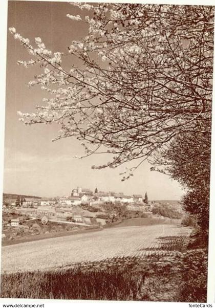 Regensberg Dielsdorf ZH Regensberg Blaukreuz Jgendwerk
