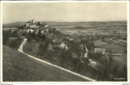 Regensberg Dielsdorf ZH Regensberg Feldpost x 1934