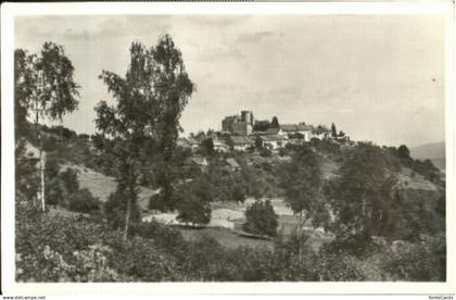 Regensberg Dielsdorf ZH Regensberg  ungelaufen ca. 1955