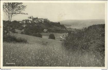 Regensberg Dielsdorf ZH Regensberg  x 1916