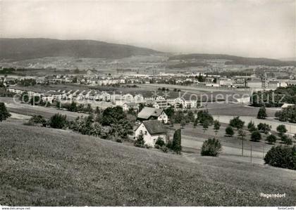 Regensdorf Panorama