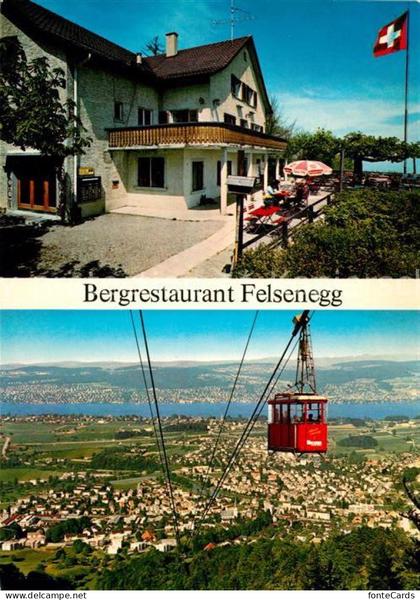 Stallikon Bergrestaurant Felsenegg Luftseilbahn