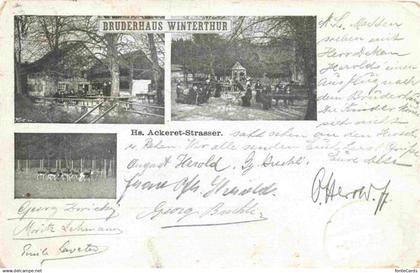 WINTERTHUR  ZH Bruderhaus Winterthur Teilansichten Tiergehege