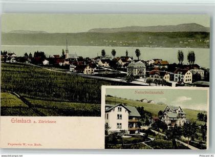 8703 Erlenbach ZH - Naturheilanstalt Zürichsee - 13218594