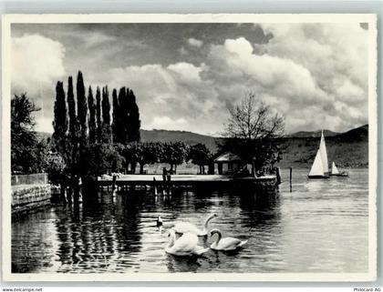 8708 Männedorf - Am See - 10391300