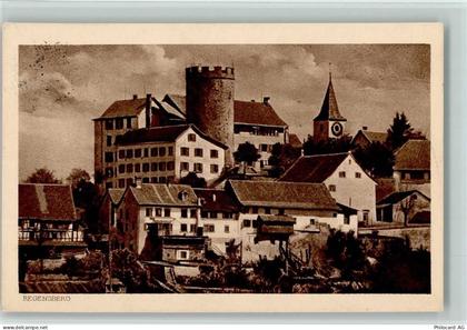 8158 Regensberg - 13113056