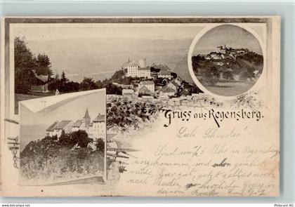 8158 Regensberg 1899 Künstlerkarte - 13218190