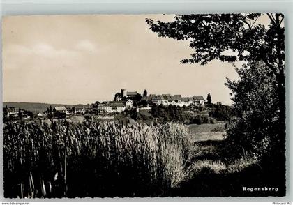 8158 Regensberg 1952 - 10198173
